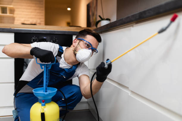 Best Pest Control for Businesses  in New Cumberland, WV