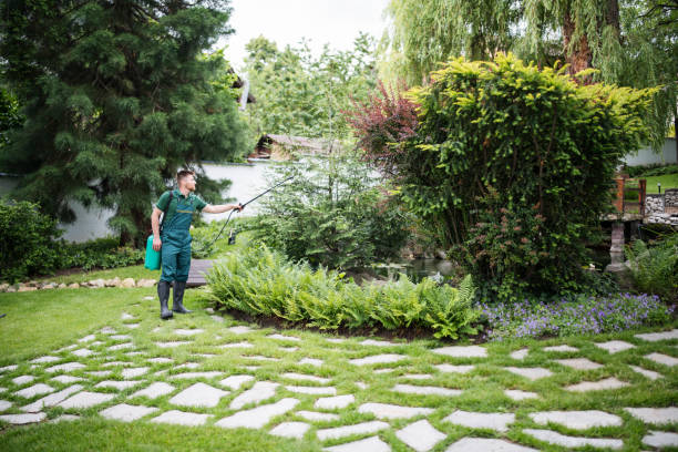 Pest Prevention Services in New Cumberland, WV